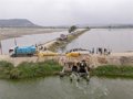 COMUNICADO: OBA presenta un informe sobre el impacto medioambiental de la producción de langostino importado de Ecuador