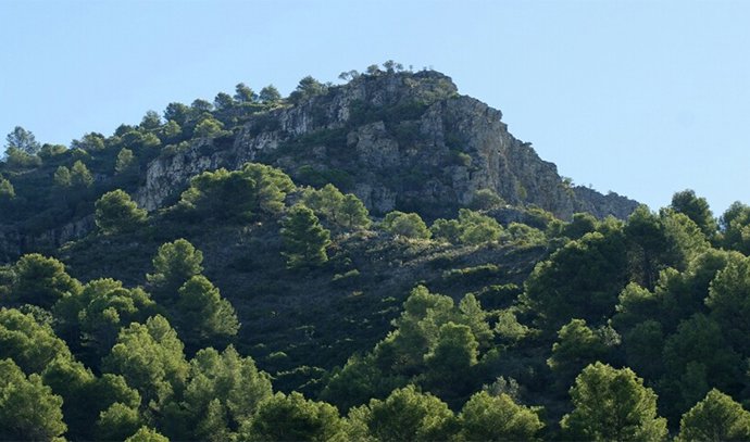 Andalucía publica el primer Registro de Montes Públicos, con un total de 1.434 .