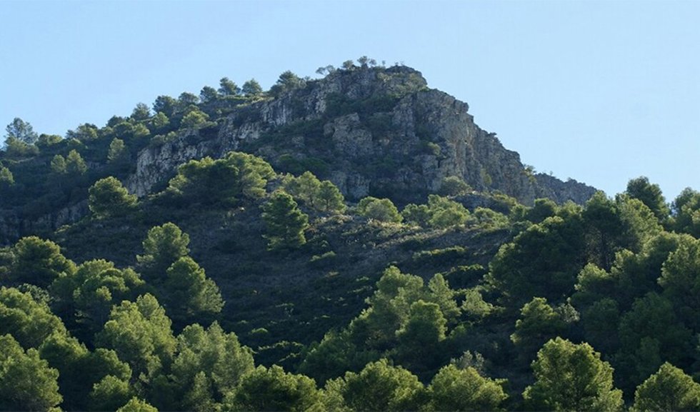 Andalucía publica el primer Registro de Montes Públicos, con un total de 1.434 .