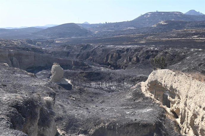 El Gobierno de Aragón activa a la UME ante el incendio forestal de Leciñena