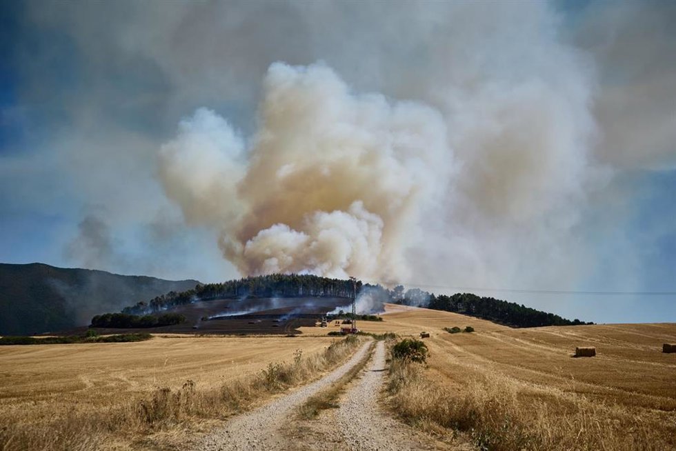 Imagen del incendio forestal en Imárcoain que tuvo lugar el pasado 5 de julio.