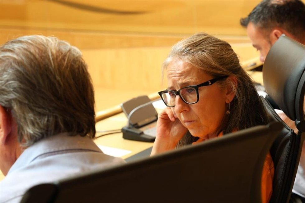 La portavoz de Desregulación y Familia del Grupo Parlamentario Socialista, Carmen Iglesias, en una imagen de archivo
