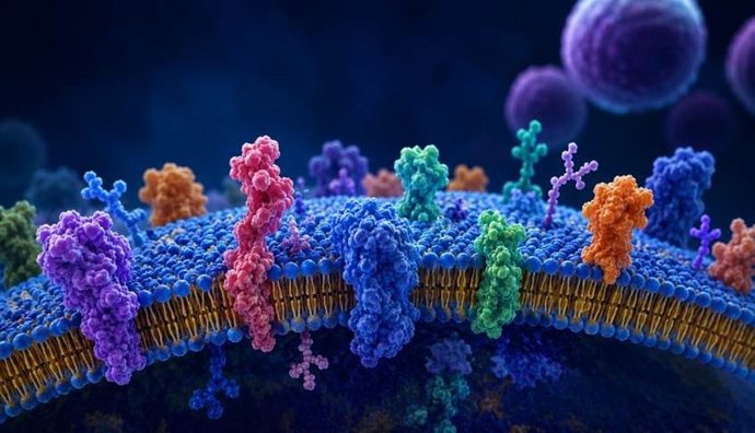 Representación de las proteínas de superficie de la membrana celular externa. / Imagen generada con IA.
