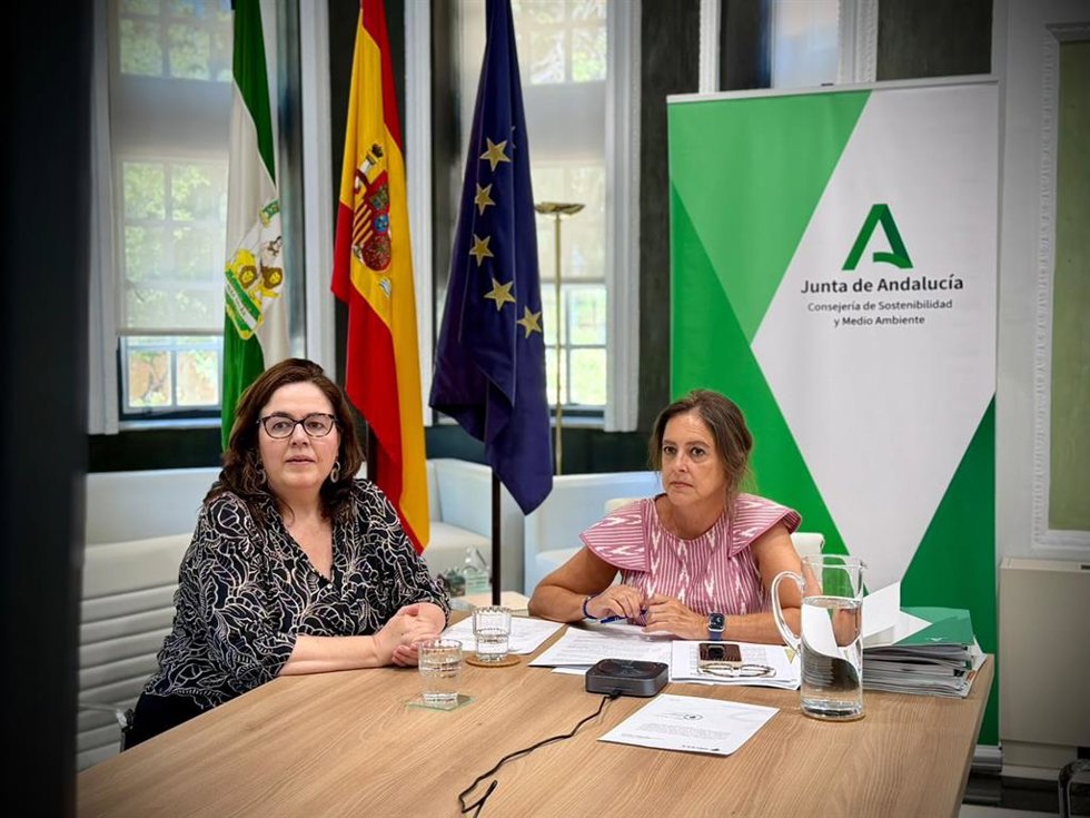 La consejera en funciones de Sostenibilidad y Medio Ambiente, Catalina García.