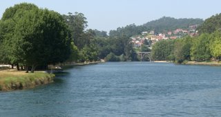 Galego