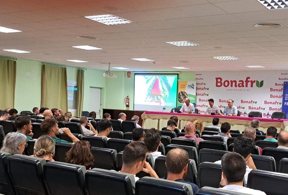 Presentación en Huelva de los resultados de ensayos de variedades de fresa del IFAPA.
