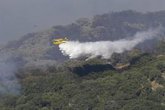 Foto: Epidemiólogos advierten de que los incendios forestales pueden provocar problemas respiratorios y cardiovasculares