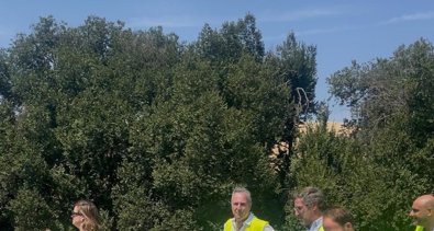 Es Andalucía - Jaén