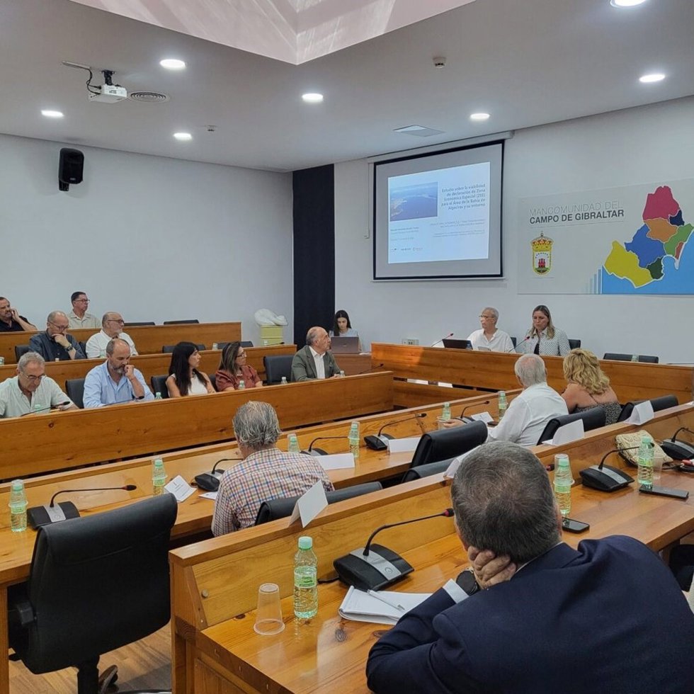 Reunión del Consejo Económico y Social del Campo de Gibraltar.