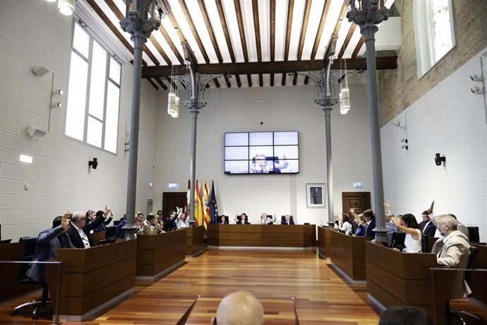 El pleno de la Diputación de Zaragoza