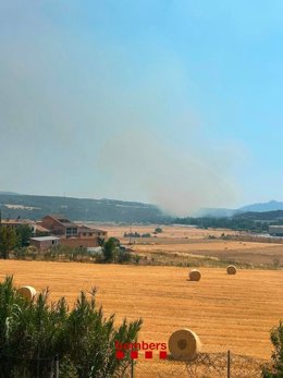L'incendi de vegetació a Navarcles (Barcelona)