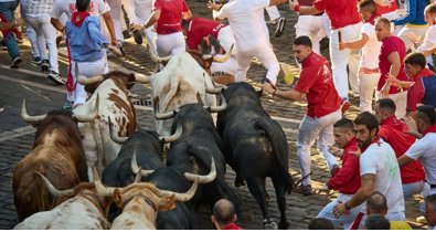 Navarra