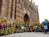 La plataforma señala que colocar silicona en cerraduras no es violencia: "La violencia se ejecuta desde arriba"