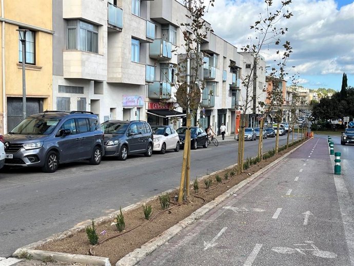 Archivo - Avenida Jaume I de Inca.