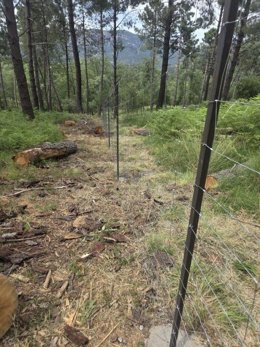 Mejora el cerramiento de protección del monte de utilidad pública 'Cerro Bohonal'.