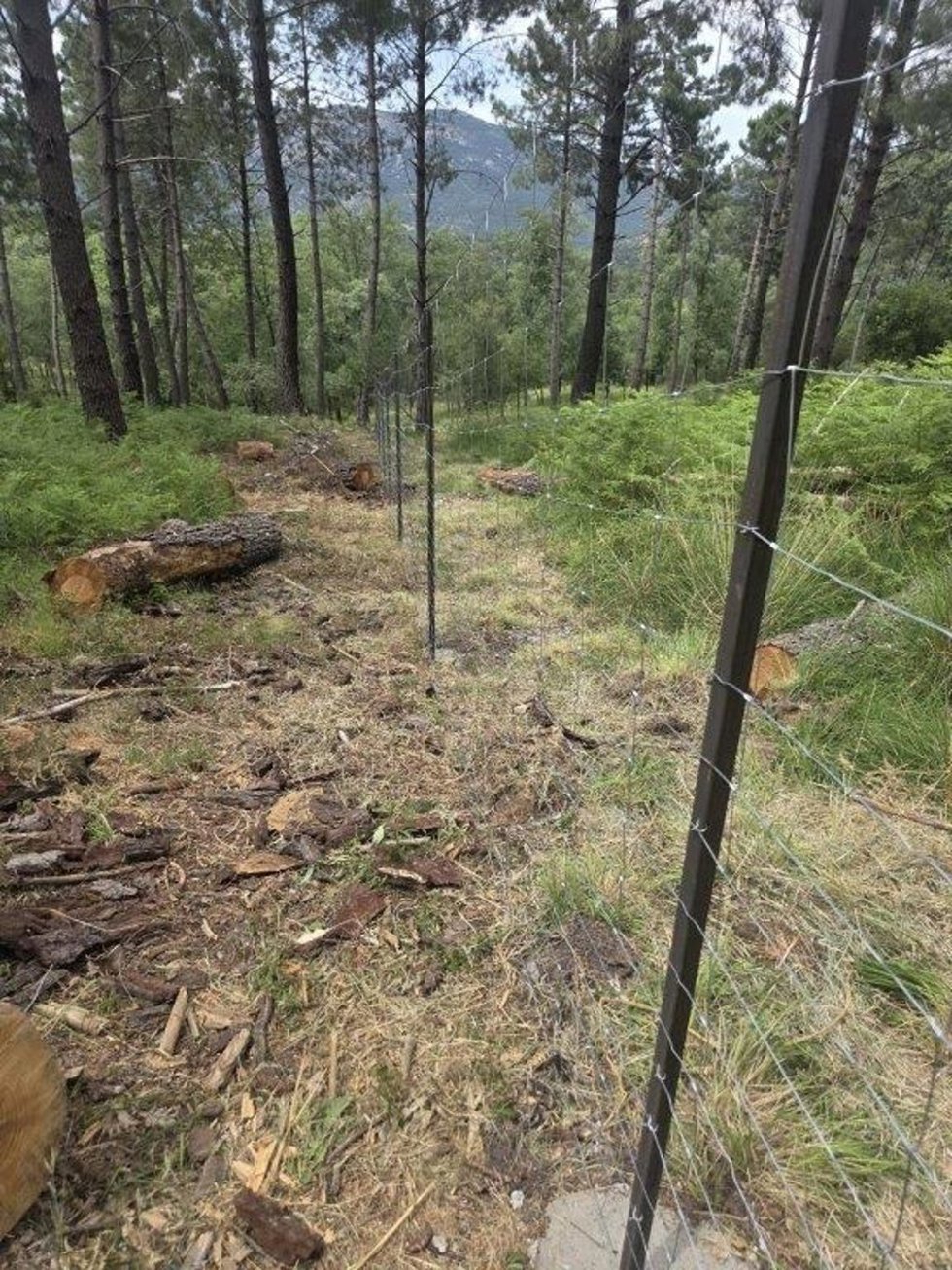 Mejora el cerramiento de protección del monte de utilidad pública 'Cerro Bohonal'.