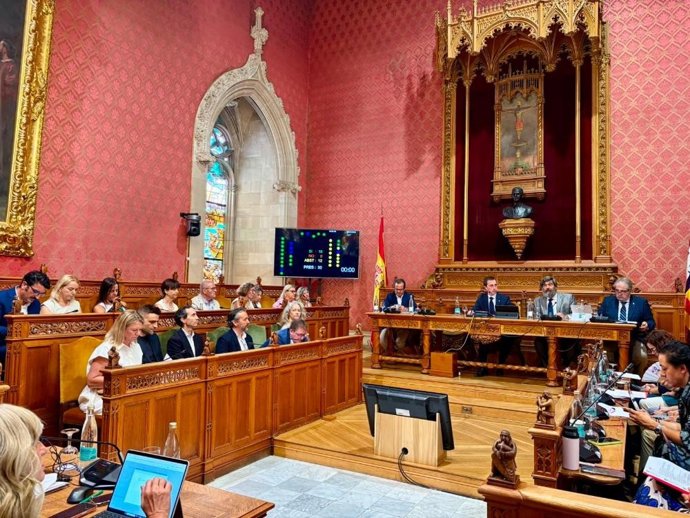 Pleno del Consell de Mallorca