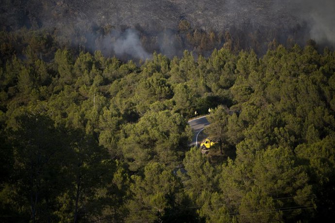Vista de l'incendi al Pla de Manlleu