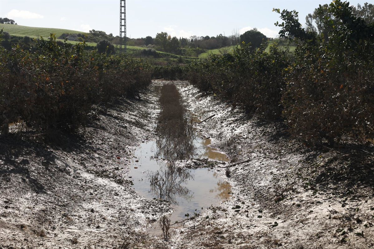 Gobierno abona 4,8 millones a agricultores y ganaderos por los daños...