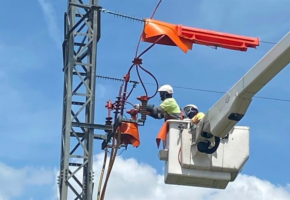Técnicos realizando trabajos