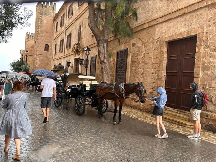 Archivo - Calesas por las calles de Palma un día lluvioso.