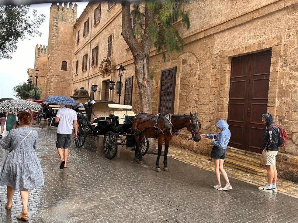 Archivo - Calesas por las calles de Palma un día lluvioso.