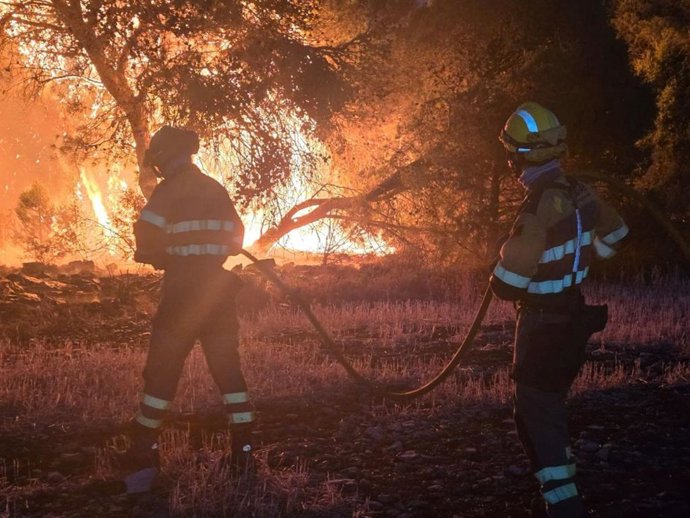 Trabajos de extinción del incendio forestal declarado en Leciñena (Zaragoza).