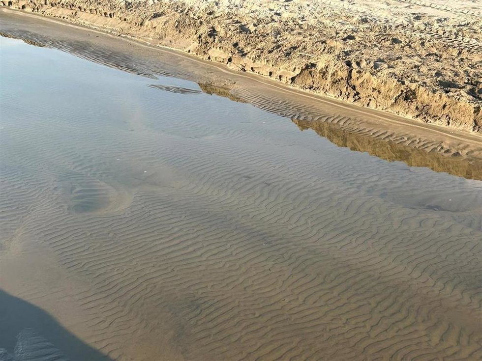 Playa del Serradal