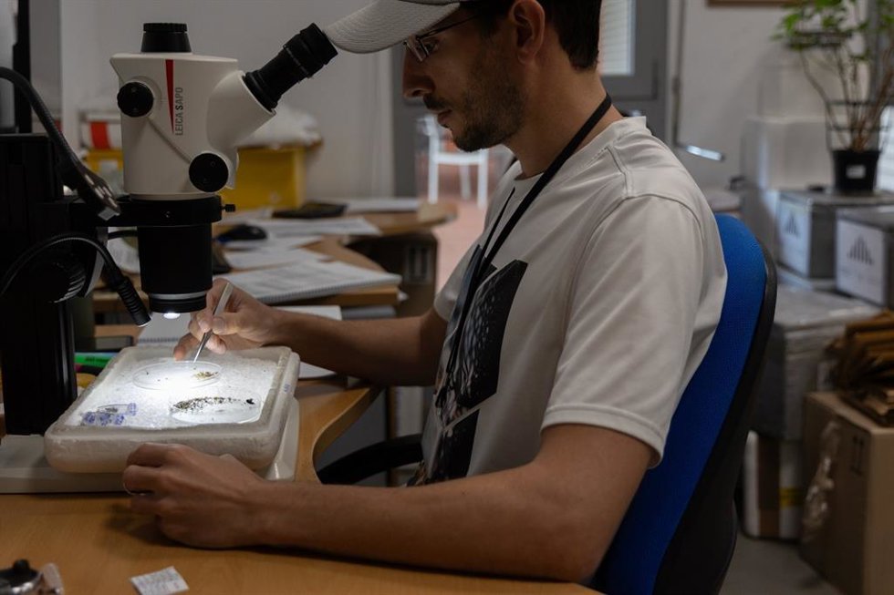 Análisis para la detección del virus del Nilo en mosquitos portadores.
