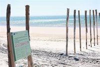 Denunciado por verter escombros en el Espacio Natural de Doñana (Huelva)
