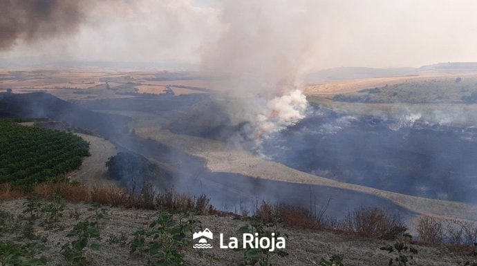 Incendio agrario en Treviana