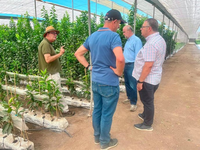 Imagen del director general de Agricultura, durante las prospecciones desarrolladas en un vivero en Águilas, y vista general de las instalaciones.