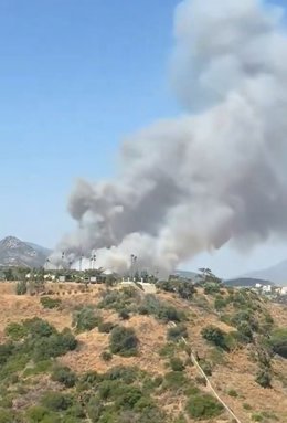 Incendio forestal en Estepona.