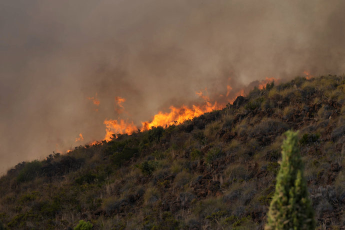 Incendio forestal en Estepona.