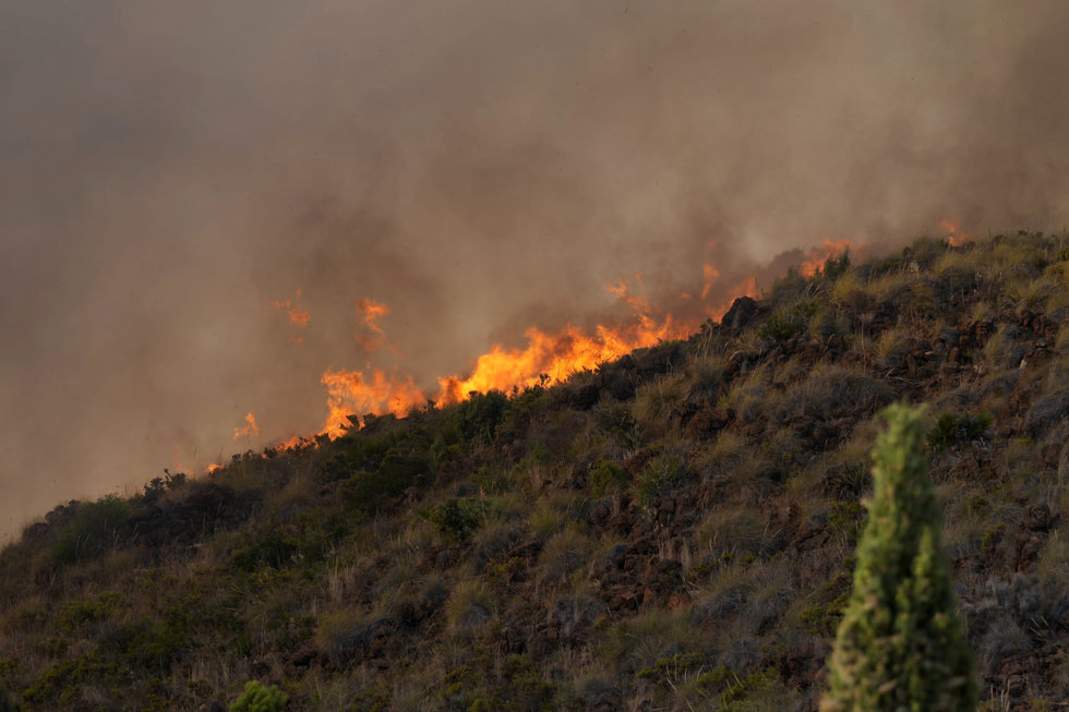 Incendio forestal en Estepona.