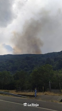 Incendio forestal en la aldea de Ezcaray de Ayabarrena