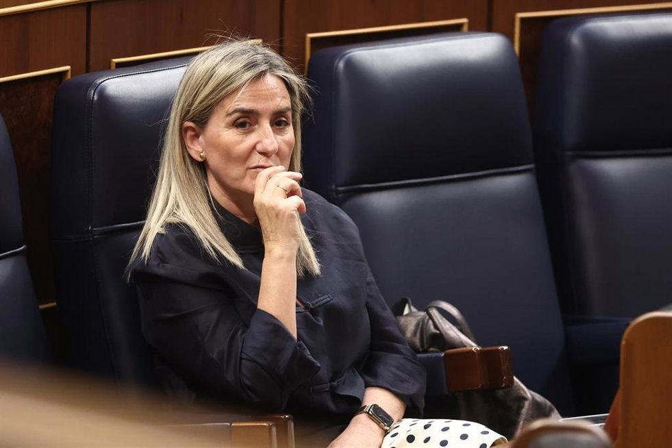 La ministra de Educación, Milagros Tolón.