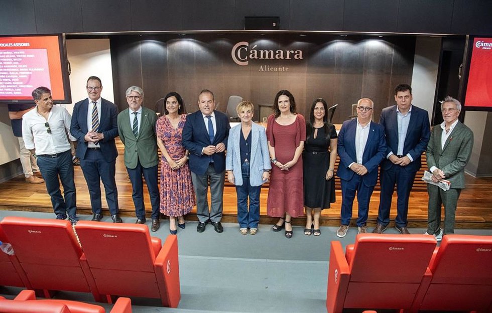 Pleno Cámara Alicante