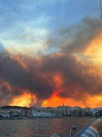 Unos 200 efectivos de la UME dan apoyo en el incendio de Los Gallardos (Almería), con evolución "desfavorable"