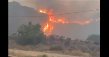 Onze morts, huit ferits i almenys 19 no localitzats en l'incendi forestal de Los Gallardos
