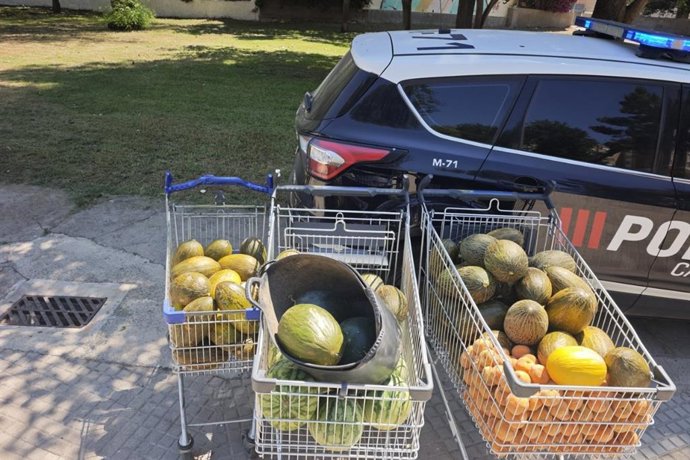 Fruta intervenida