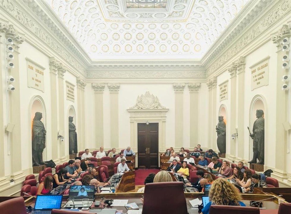 Pleno de las Juntas alavesas