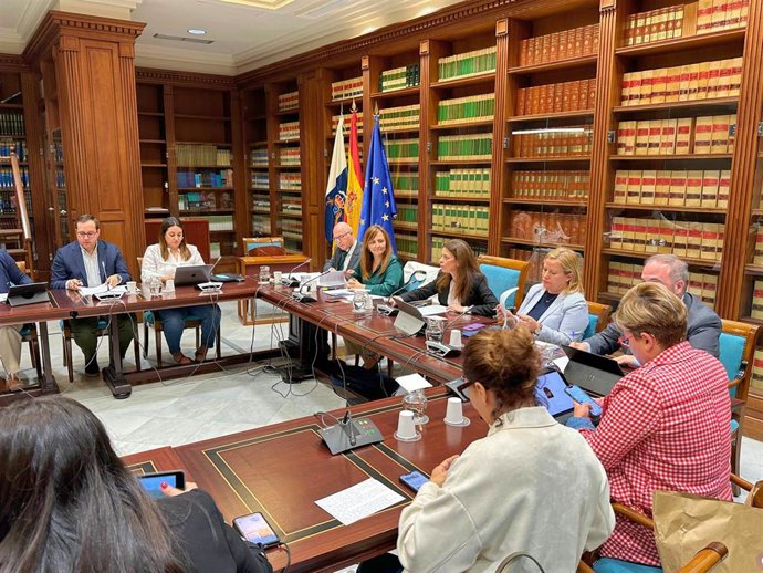 Archivo - La consejera de Presidencia, Administraciones Públicas, Justicia y Seguridad del Gobierno de Canarias, Nieves Lady Barreto, en la Comisión de Gobernación del Parlamento