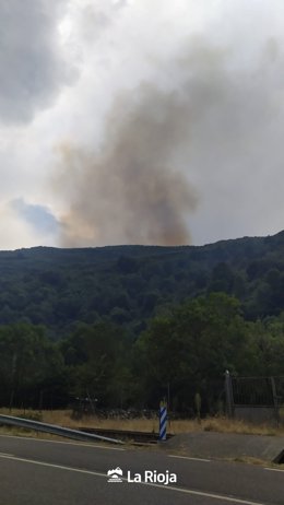 Incendio forestal en la aldea de Ezcaray de Ayabarrena