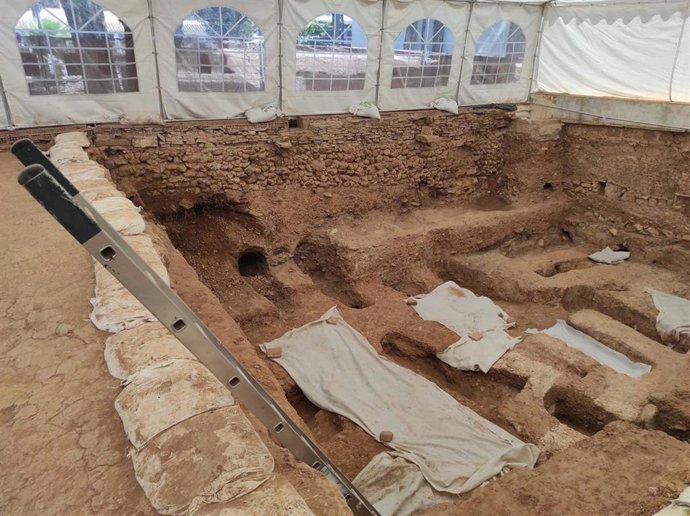 Archivo - Exhumación de fosas en el Cementerio de la Salud de Córdoba, en una imagen de archivo.