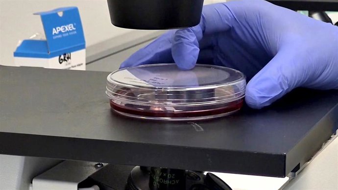 Pruebas de laboratorio sobre ébola