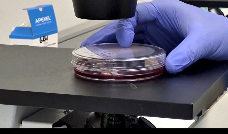 Investigación
