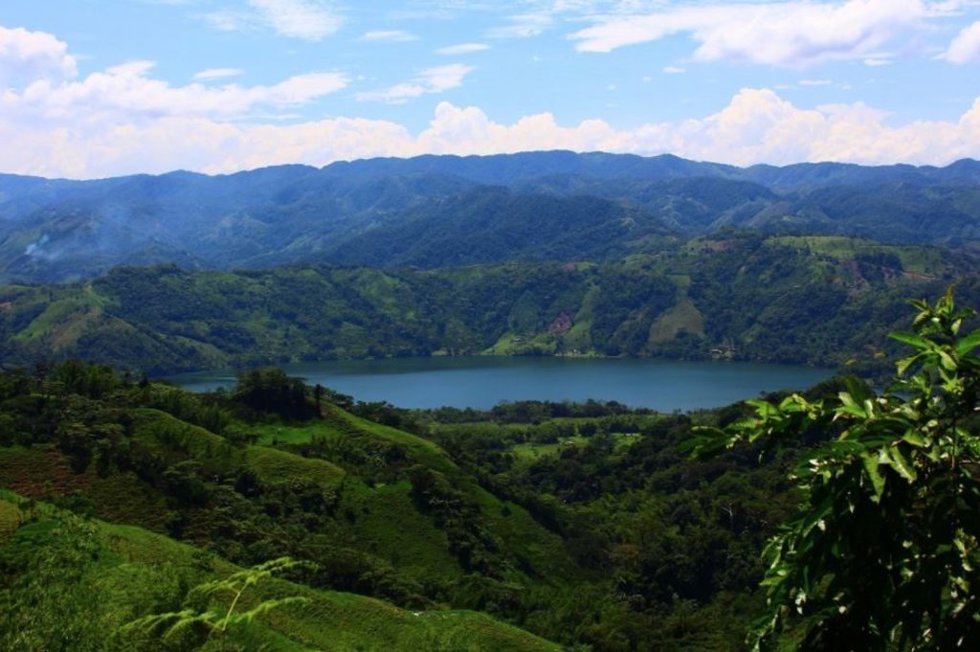 Archivo - Selva en Colombia.