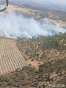 Vista del incendio en Santa Elena