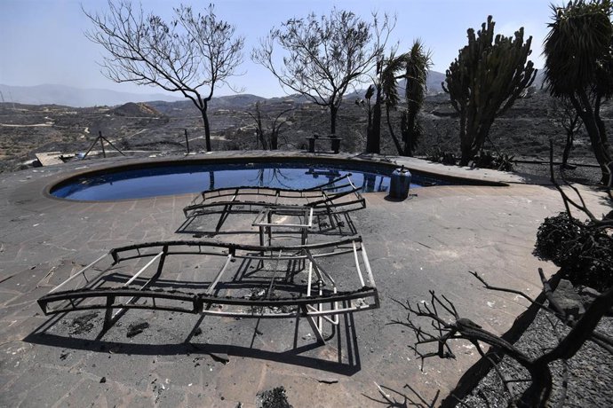 Imagen de los daños por el incendio en Los Gallardos (Almería)